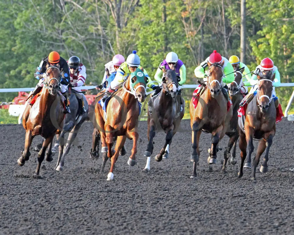 Balk - 090615 Pid 002 Presque Isle Downs
