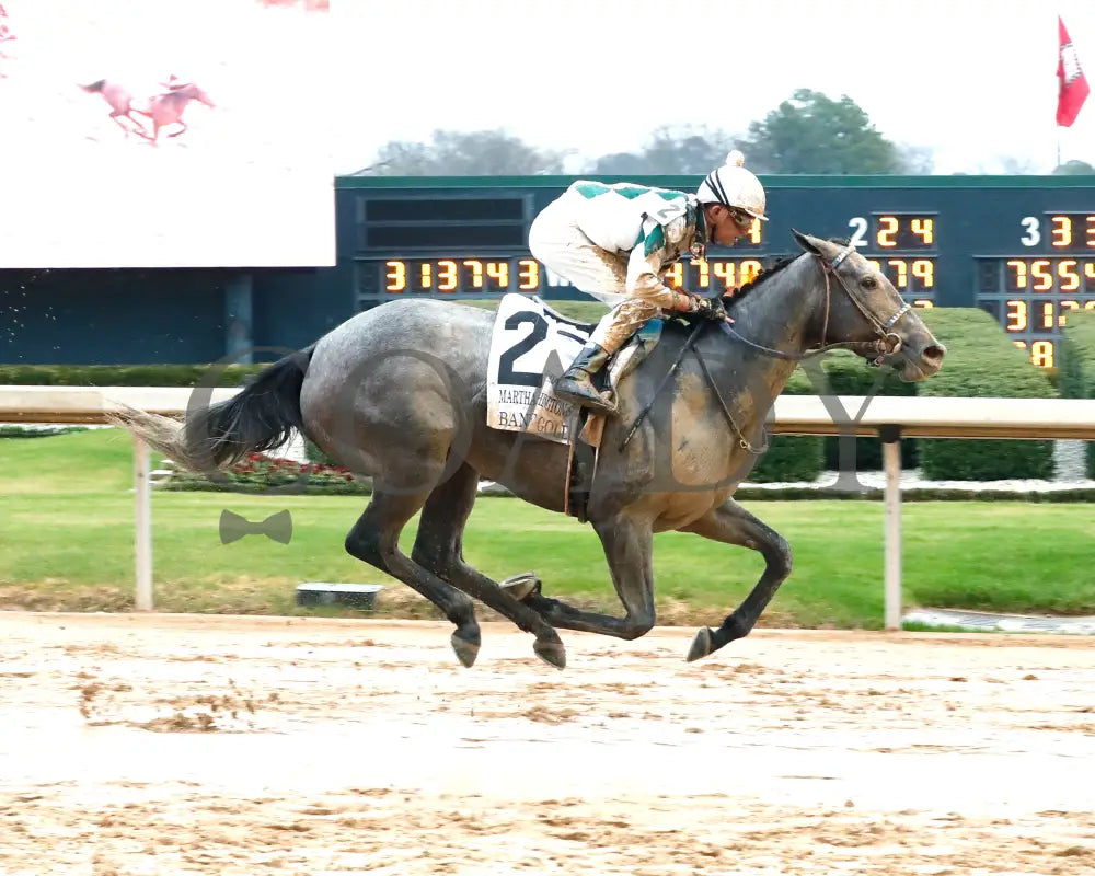 Band Of Gold - Martha Washington Stakes 46Th Running 02-03-24 R09 Oaklawn Park Finish 01