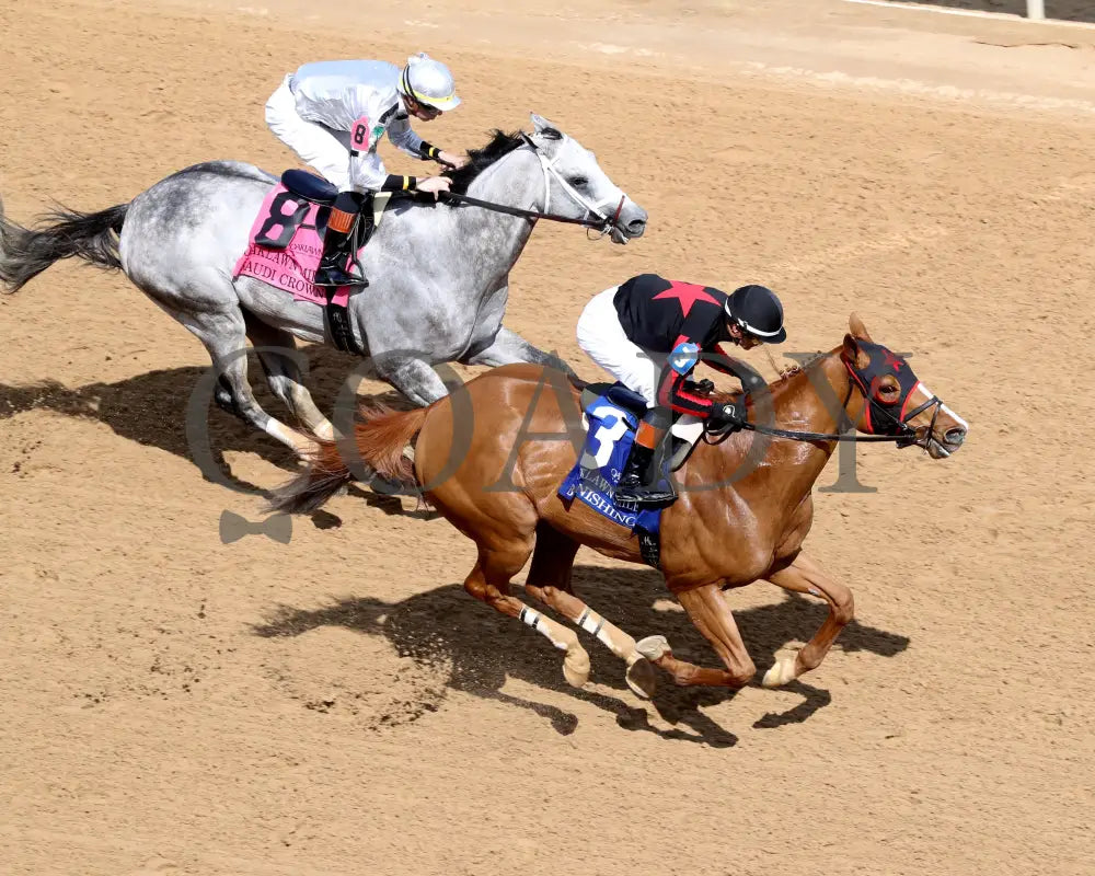 BANISHING - 032925 - Race 08 - OP Oaklawn Mile Stakes G3 - Aerial Finish 01 Oaklawn Park