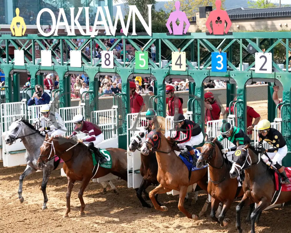 BANISHING - 032925 - Race 08 - OP Oaklawn Mile Stakes G3 - Start 01 Oaklawn Park