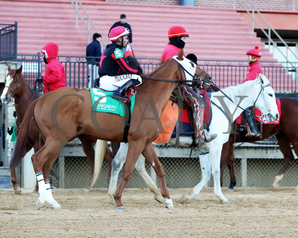Banishing - The Byerley Turk Overnight Stakes 1St Running 01-23-25 R09 Op Post Parade 03 Oaklawn