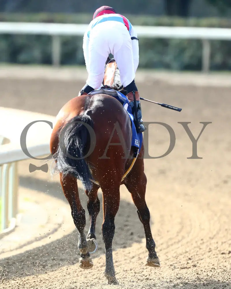 BARNES - 101825 - Race 06 - KEE - The Perryville - Gallop Out 04 Keeneland