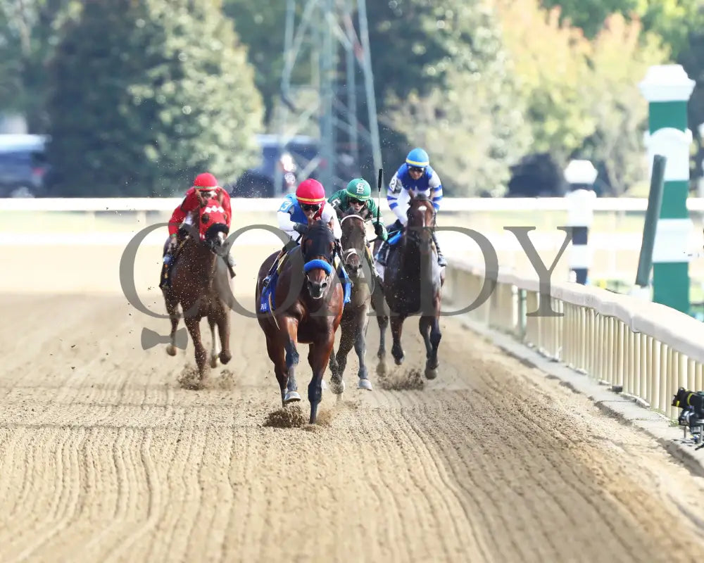 BARNES - 101825 - Race 06 - KEE - The Perryville - Head On - 01 Keeneland