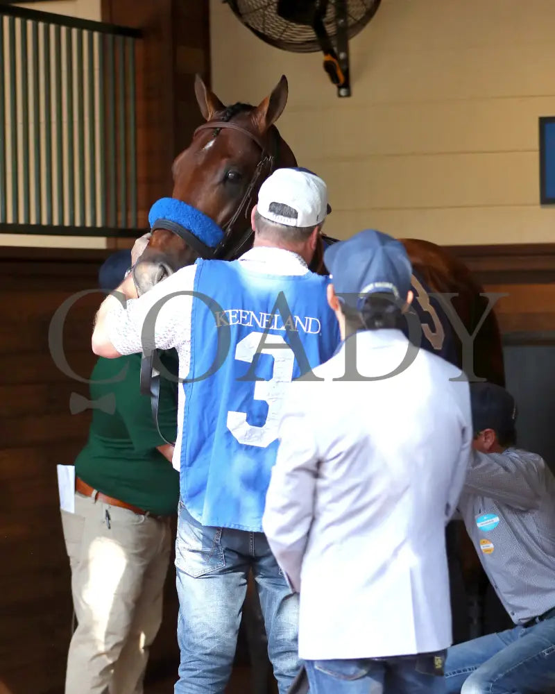BARNES - 101825 - Race 06 - KEE - The Perryville - Paddock 03 Keeneland