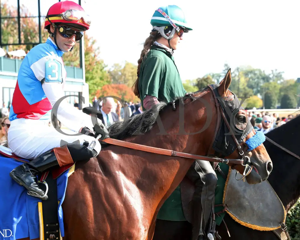 BARNES - The Perryville G3 - 10-18-25 - R06 - KEE - Post Parade 02 Keeneland