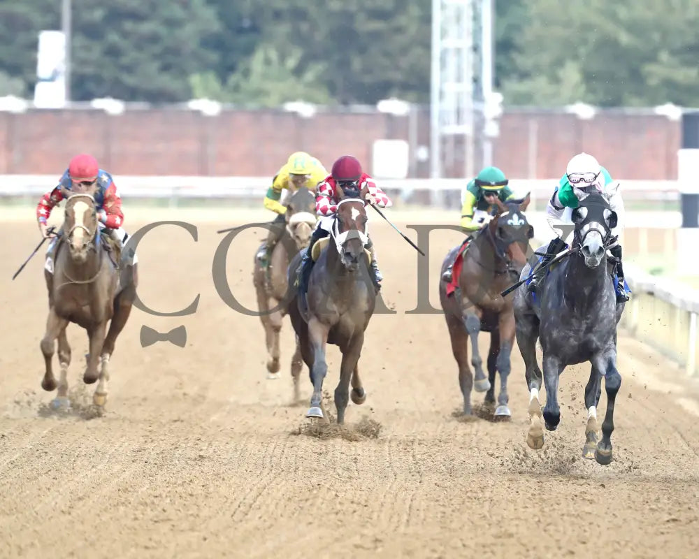 Batten Down - The Bourbon Flight 4Th Running 09-21-24 R07 Cd Head On 01 Churchill Downs