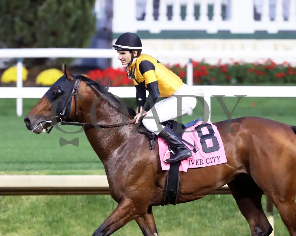 Battle Of Normandy - The River City G3 45Th Running 11-09-24 R10 Cd Come Back 02 Churchill Downs
