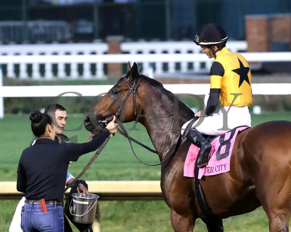 Battle Of Normandy - The River City G3 45Th Running 11-09-24 R10 Cd Come Back 03 Churchill Downs