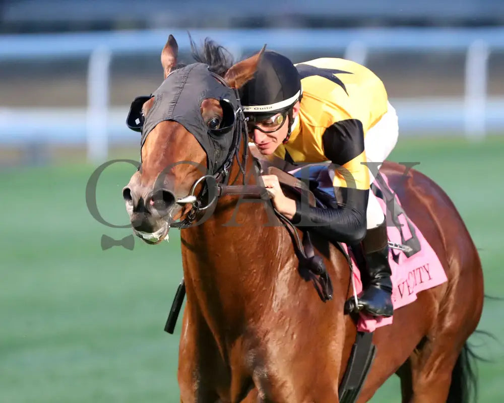 Battle Of Normandy - The River City G3 45Th Running 11-09-24 R10 Cd Inside Finish 01 Churchill Downs