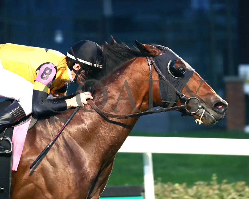 Battle Of Normandy - The River City G3 45Th Running 11-09-24 R10 Cd Tight Finish 01 Churchill Downs
