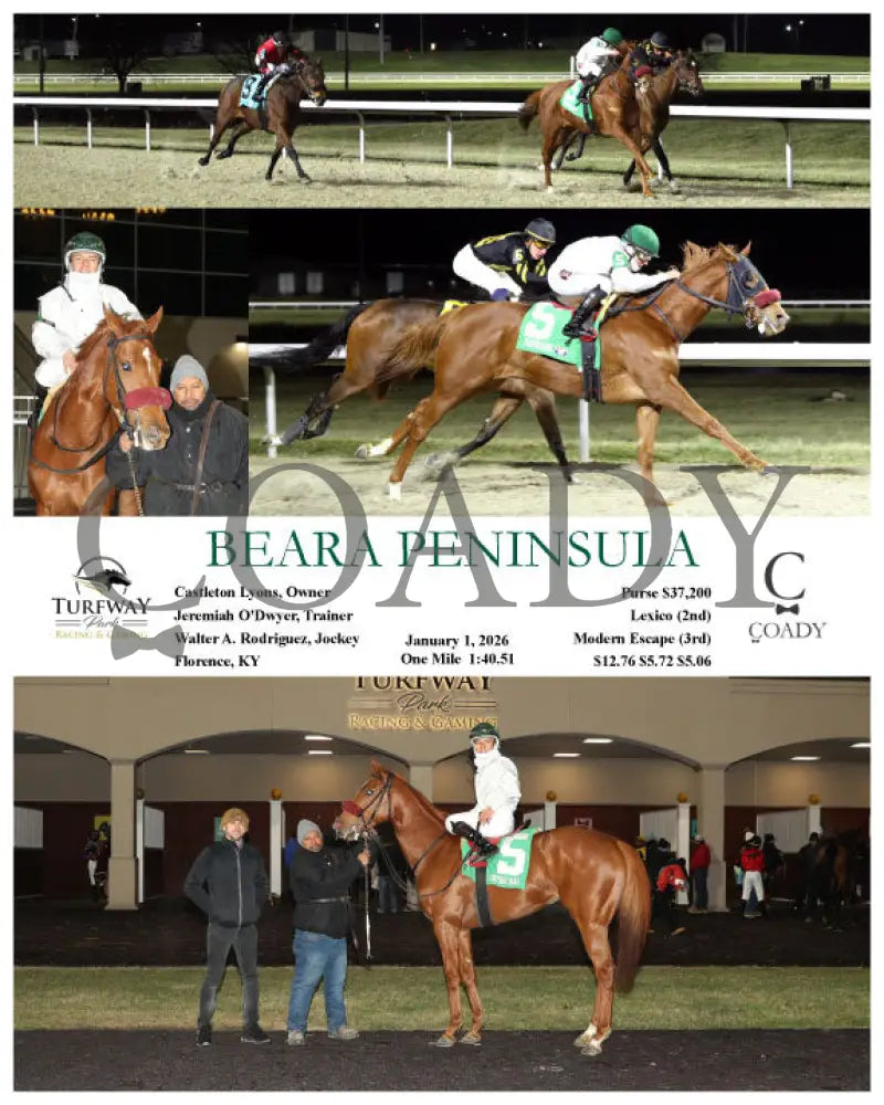 BEARA PENINSULA - 01-01-26 - R09 - TP Turfway Park