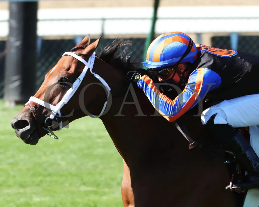 Beau Recall - Longines Churchill Distaff Turf Mile G2 35Th Running 09-05-20 R11 Cd Inside Finish