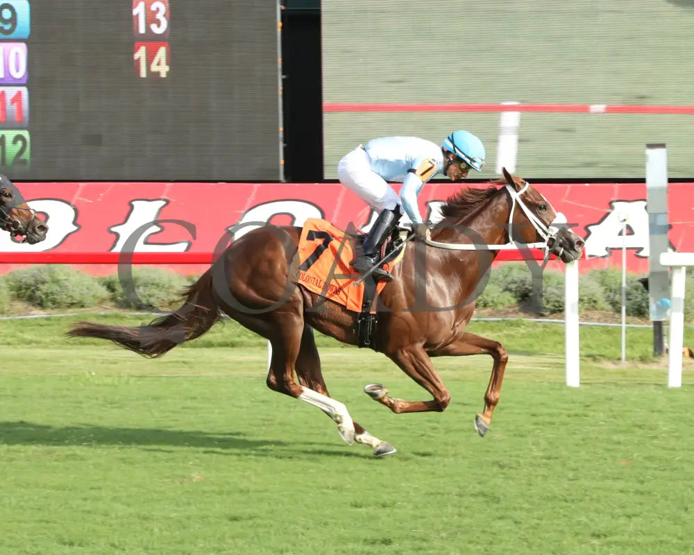 Beauty Of The Sea - The Andy Guest Stakes 08-11-24 R07 Cnl Finish 01 Colonial Downs