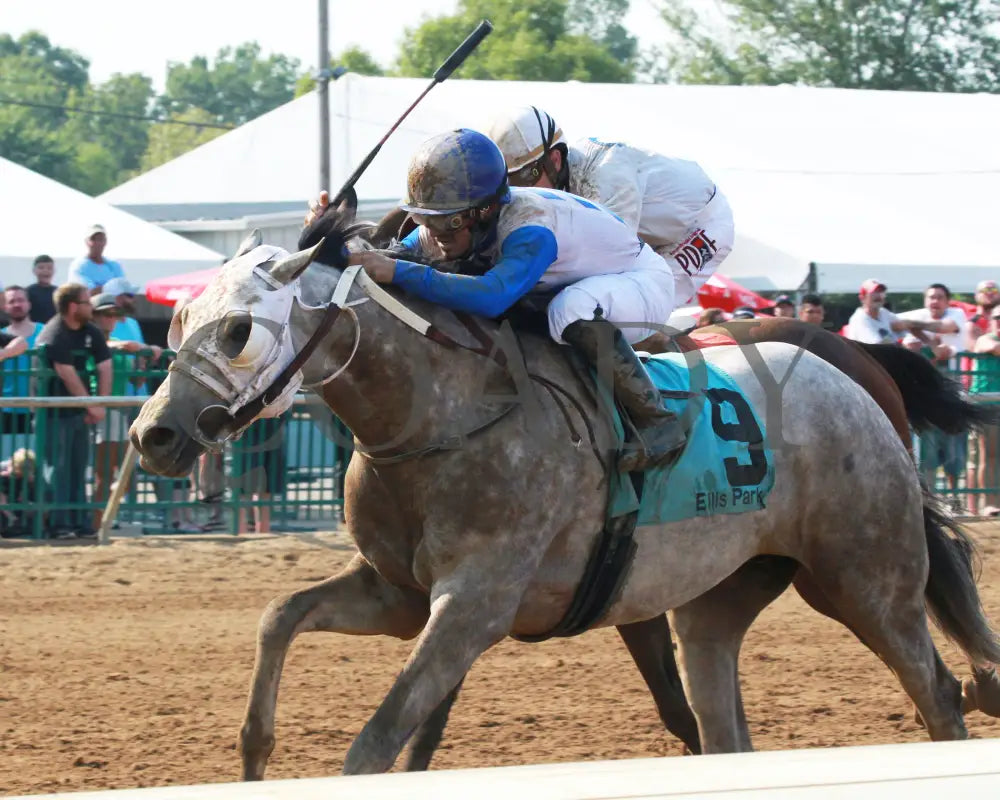 Believe In Royalty - 081218 Race 08 Elp Inside Finish 01 Ellis Park