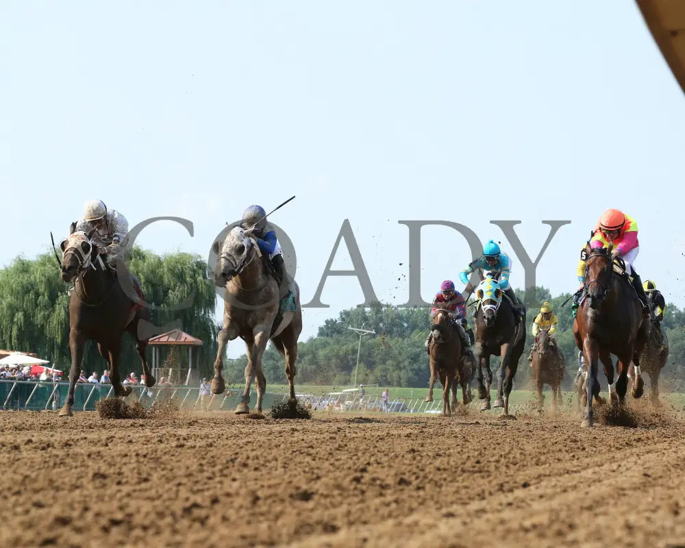 Believe In Royalty - 081218 Race 08 Elp Under Rail 01 Ellis Park