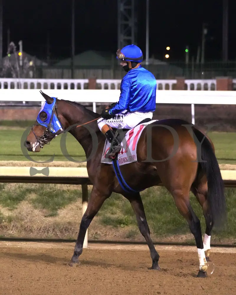 BELLA BALLERINA - The Golden Rod G2 - 11-29-25 - R11 - CD - Come Back 05 - Coady Media - Kurtis Coady Photography