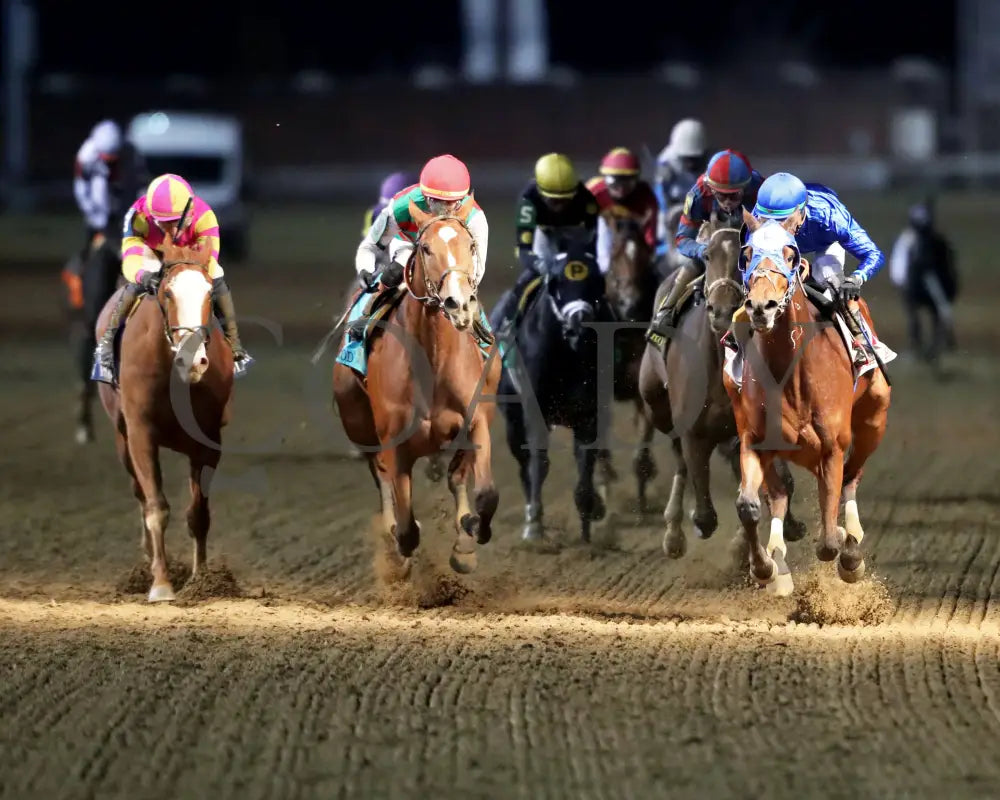 BELLA BALLERINA - The Golden Rod G2 - 11-29-25 - R11 - CD - Head On 01 - Coady Media - Kurtis Coady Photography