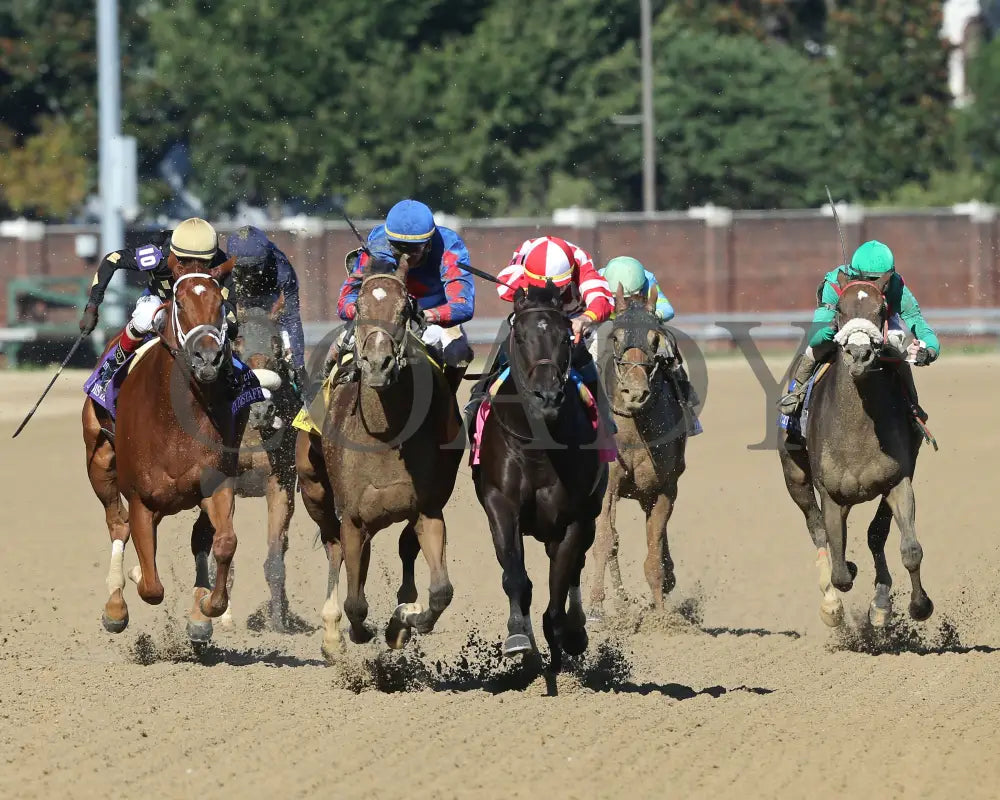 Bell’s The One - Derby City Distaff G1 34Th Running 09-05-20 R12 Cd Head On 01 Churchill Downs