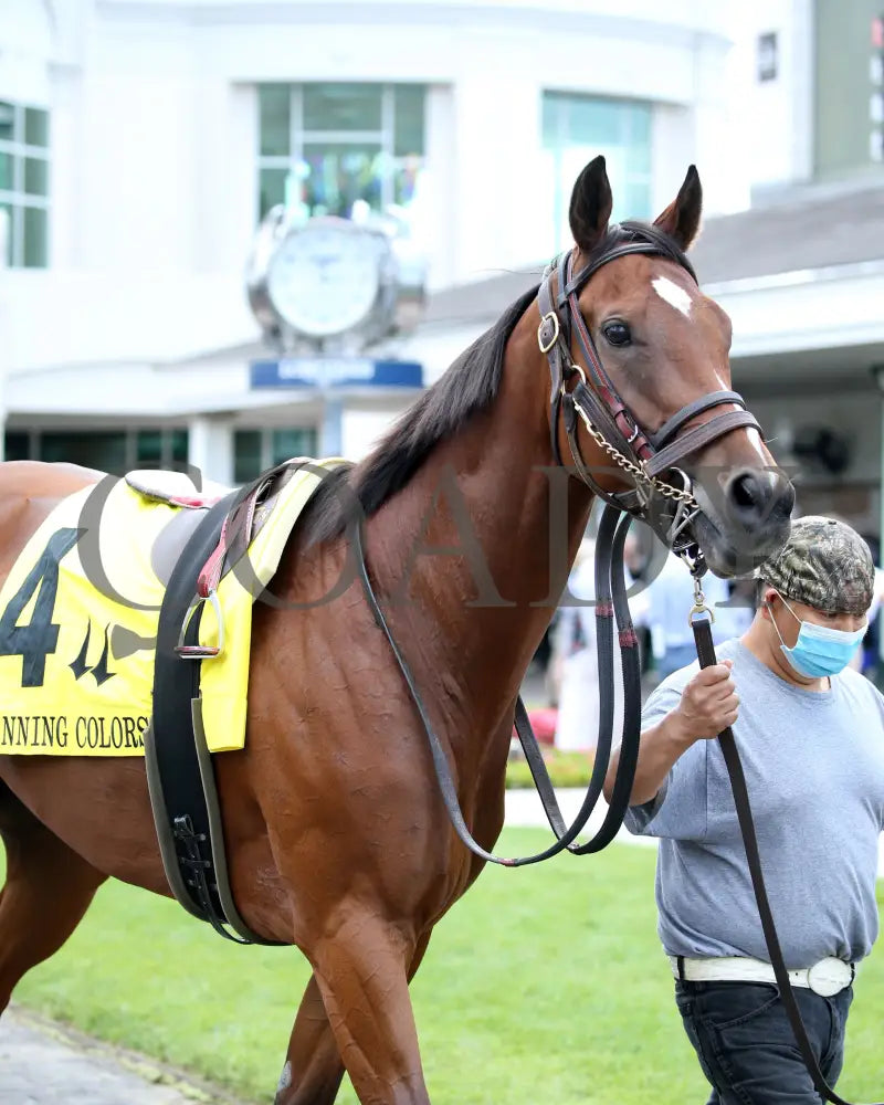 Bell’s The One - Winning Colors G3 17Th Running 05-30-20 R07 Cd Paddock 02 Churchill Downs