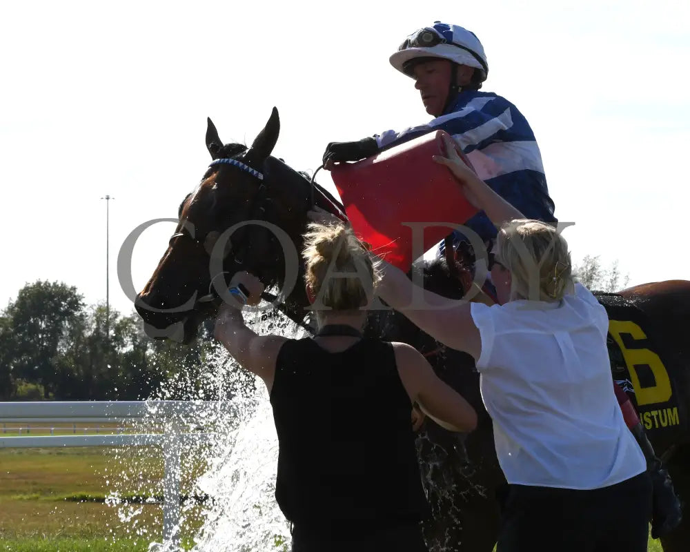 Bellum Justum - The Dk Horse Nashville Derby Invitational G3 08-31-24 R08 Kd Come Back 03 Kentucky