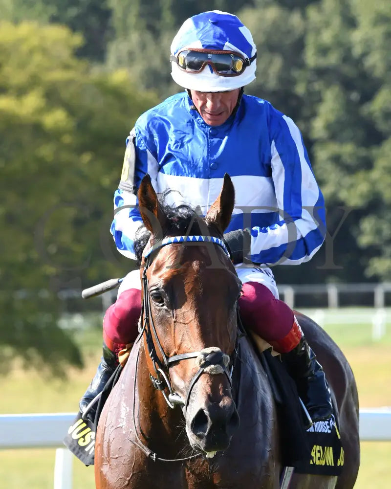 Bellum Justum - The Dk Horse Nashville Derby Invitational G3 08-31-24 R08 Kd Come Back 04 Kentucky