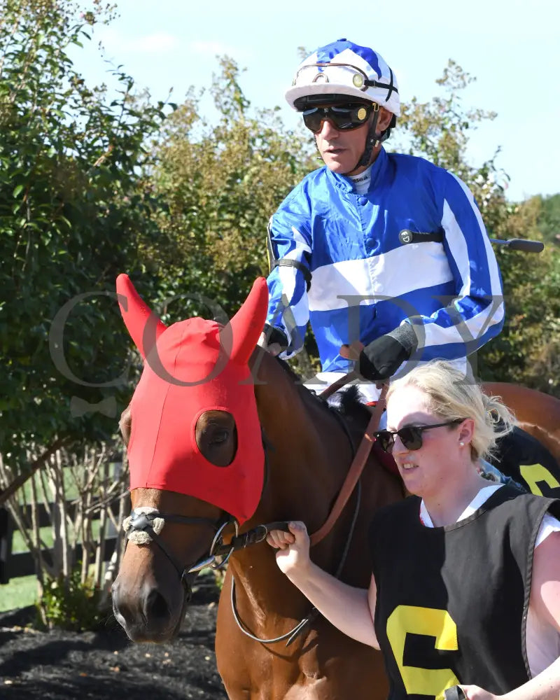 Bellum Justum - The Dk Horse Nashville Derby Invitational G3 08-31-24 R08 Kd Paddock 01 Kentucky