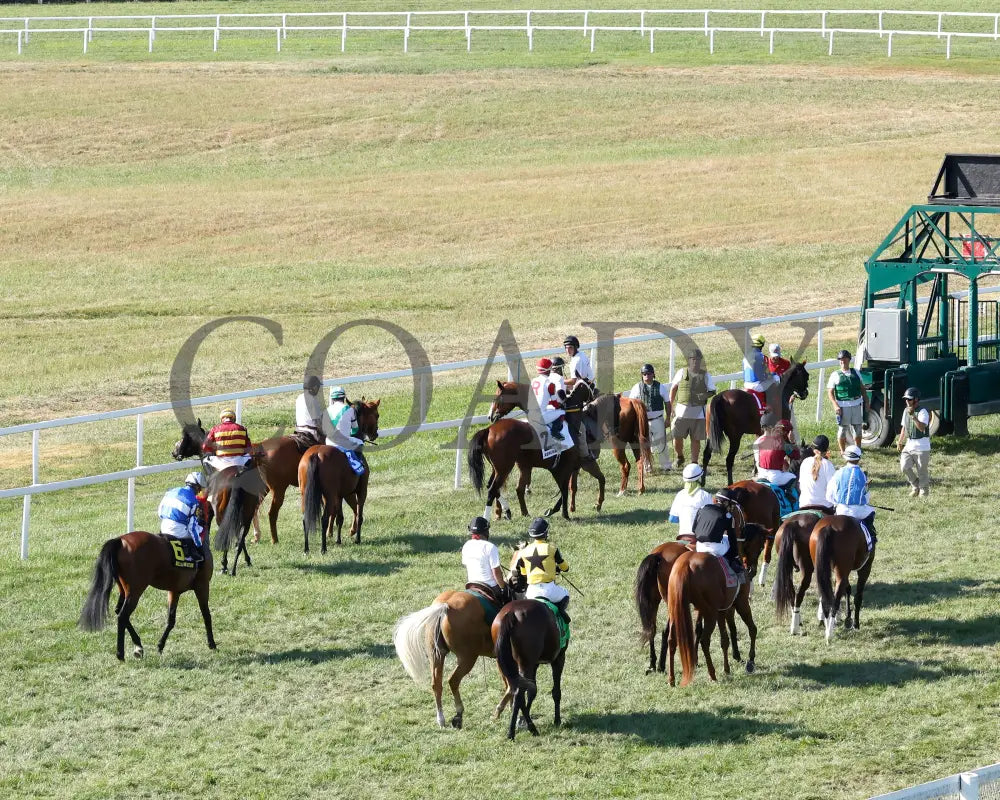 Bellum Justum - The Dk Horse Nashville Derby Invitational G3 08-31-24 R08 Kd Post Parade 01