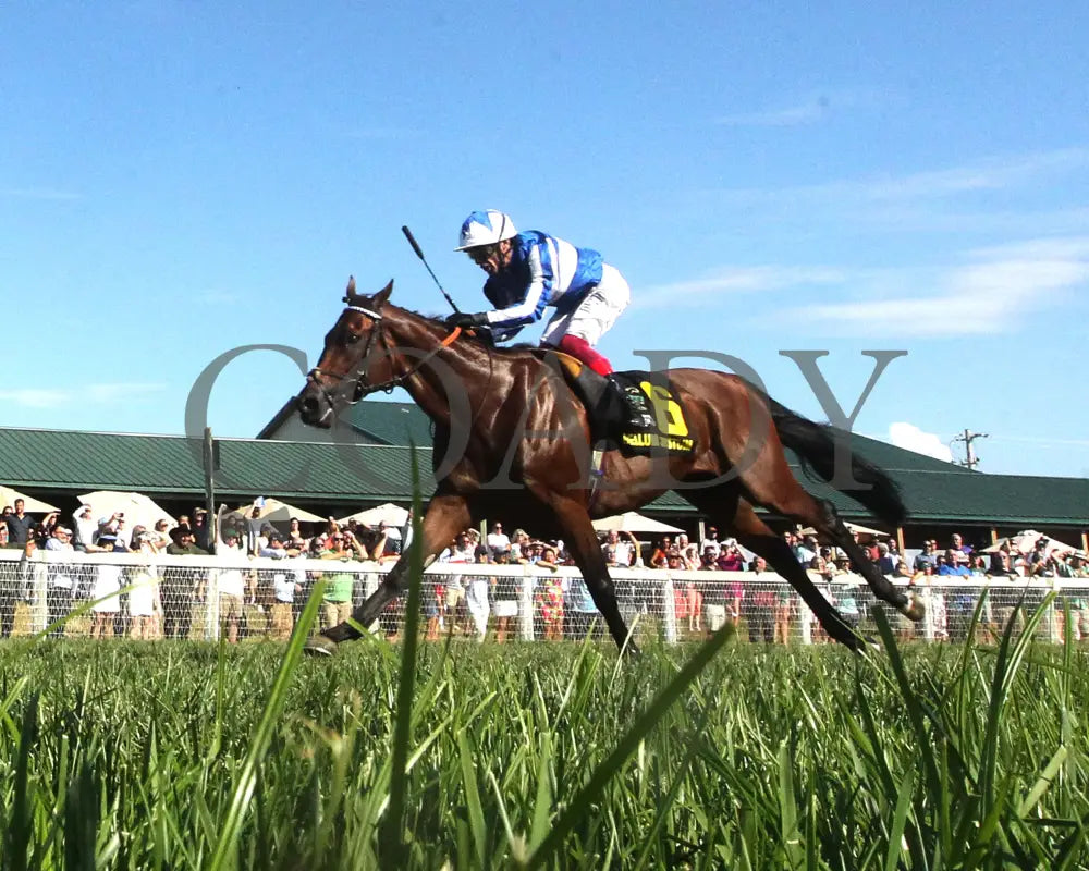 Bellum Justum - The Dk Horse Nashville Derby Invitational G3 08-31-24 R08 Kd Under Rail 02 Kentucky