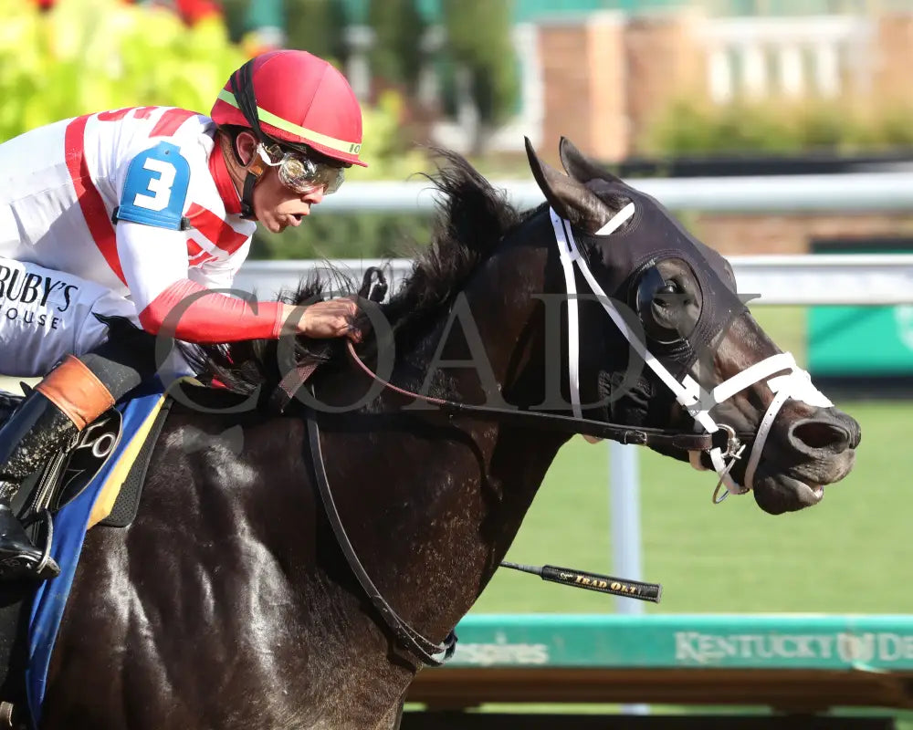 BENTORNATO - 091325 - Race 10 - CD - Finish 02 - Coady Media - Kurtis Coady Photography