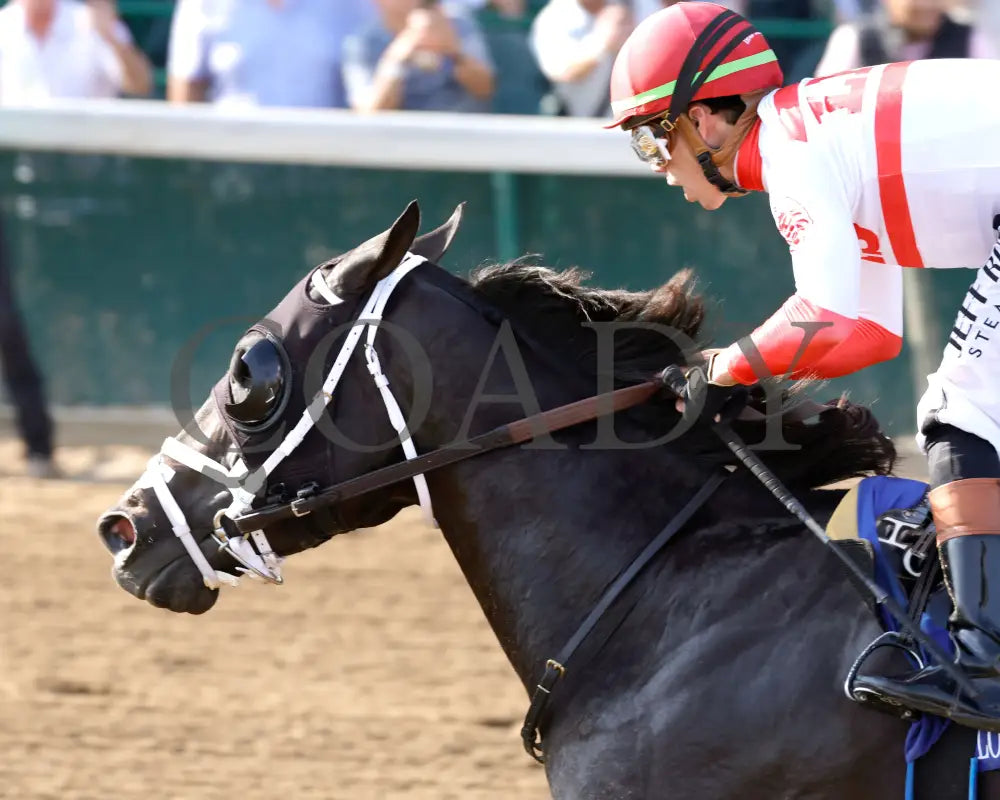 BENTORNATO - 091325 - Race 10 - CD - Inside Finish 01 - Coady Media - Kurtis Coady Photography