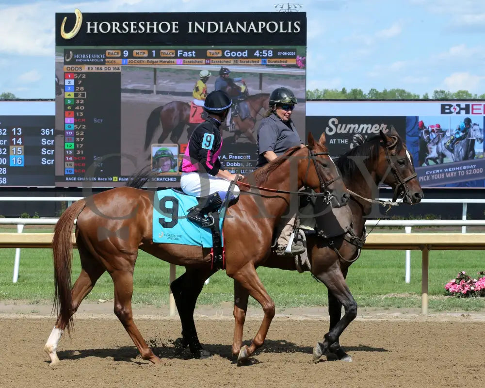Best Cupcake - Ellen’s Lucky Star 16Th Running 07-06-24 R09 Ind Post Parade 01 Indiana Grand