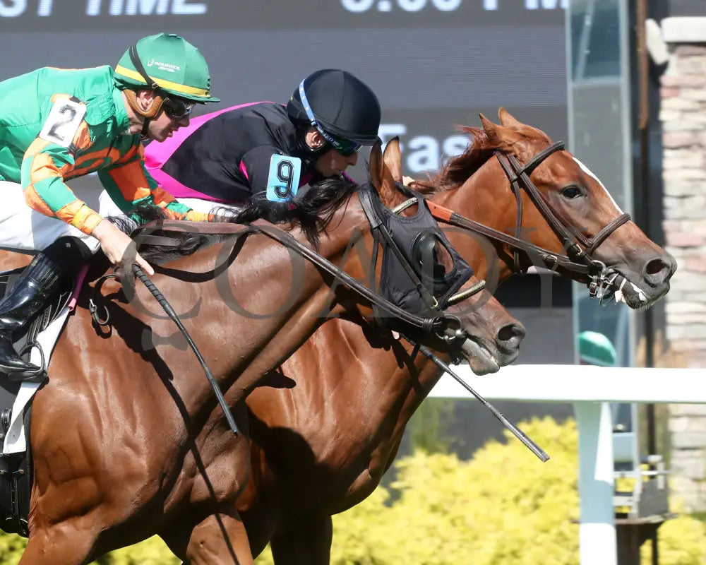 Best Cupcake - Ellen’s Lucky Star 16Th Running 07-06-24 R09 Ind Tight Finish 01 Indiana Grand