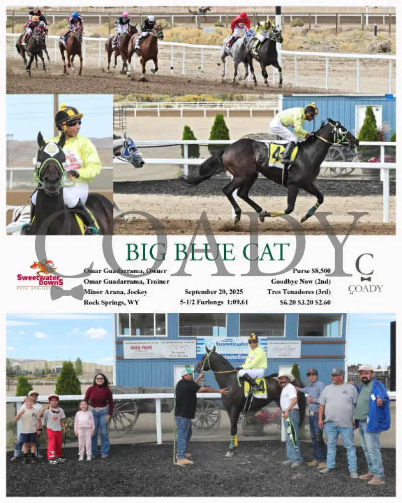 BIG BLUE CAT - 09-20-25 - R05 - SWF - Coady Media - Kurtis Coady Photography