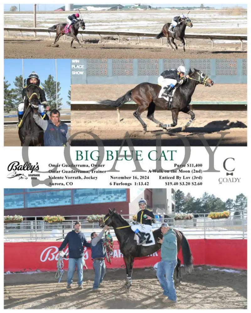 Big Blue Cat - 11-16-24 R04 Arp Arapahoe Park