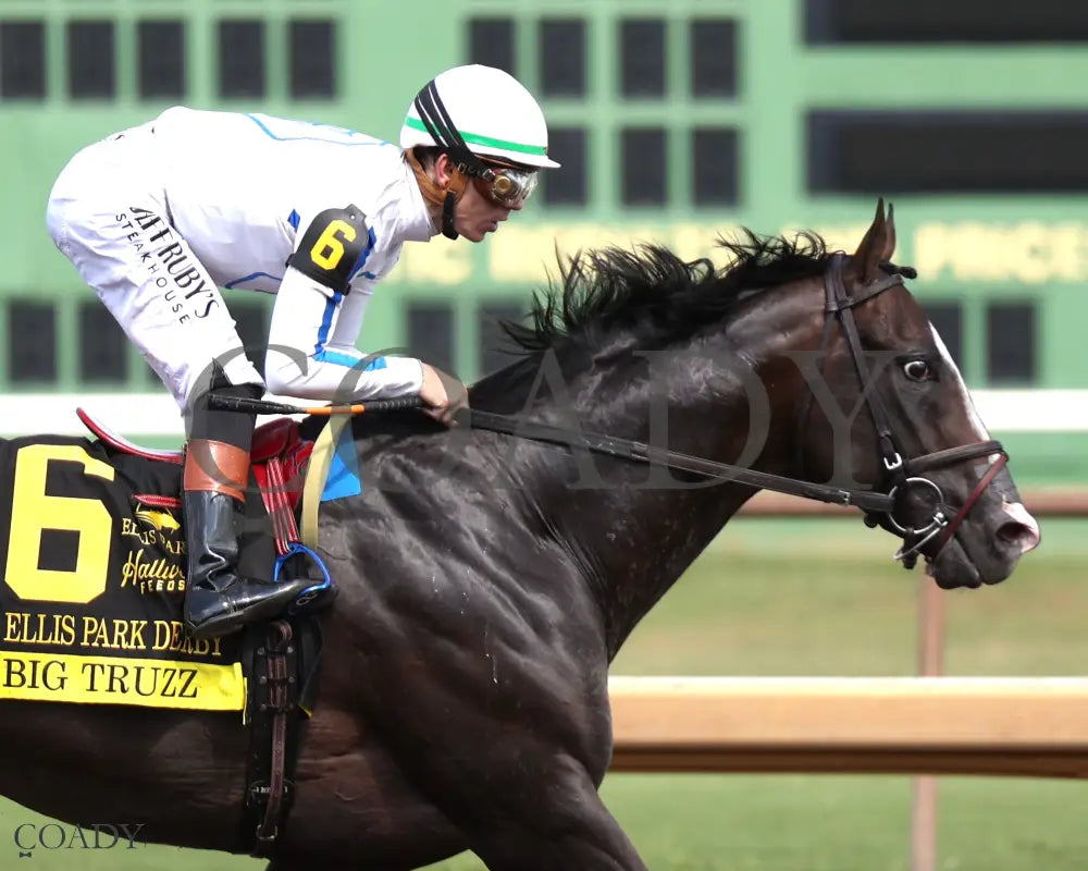 BIG TRUZZ - The Ellis Park Derby - 08-10-25 - R08 - ELP - Tight Finish 01 Ellis Park