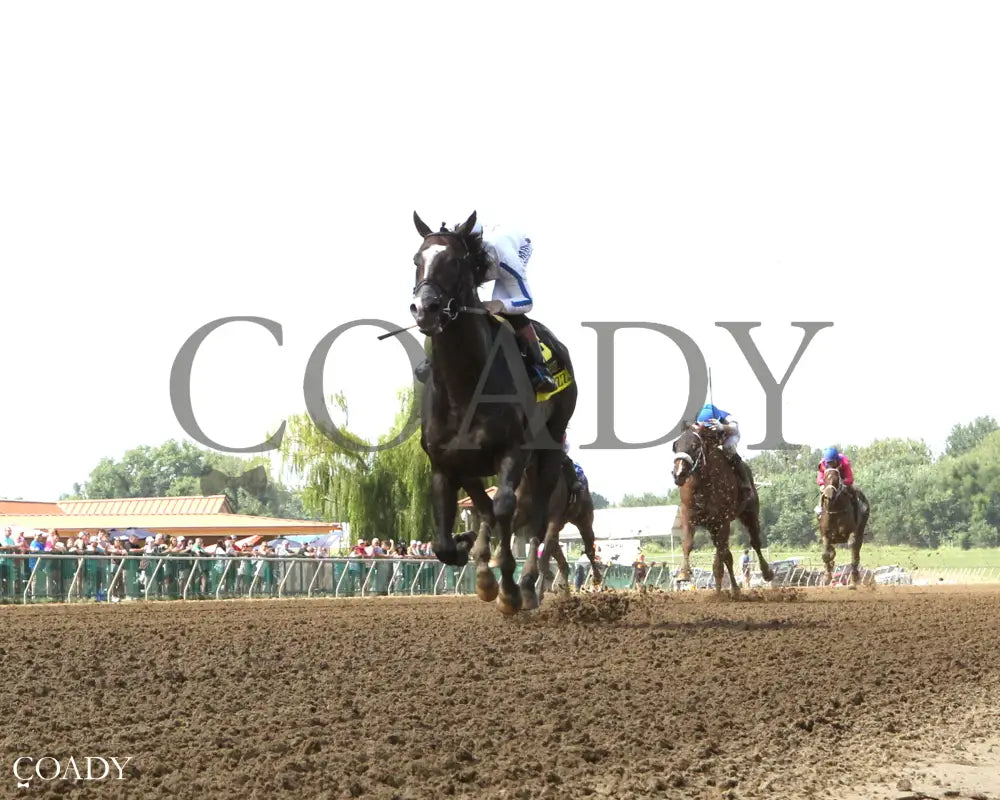 BIG TRUZZ - The Ellis Park Derby - 08-10-25 - R08 - ELP - Under Rail 01 Ellis Park