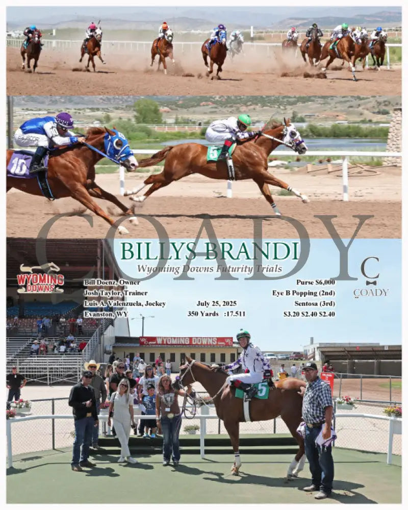 BILLYS BRANDI - Wyoming Downs Futurity Trials - 07-25-25 - R01 - WYO Wyoming Downs