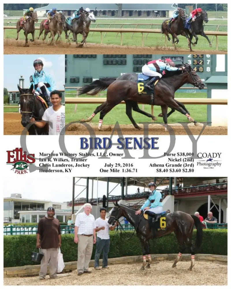 Bird Sense - 072916 Race 04 Elp Ellis Park