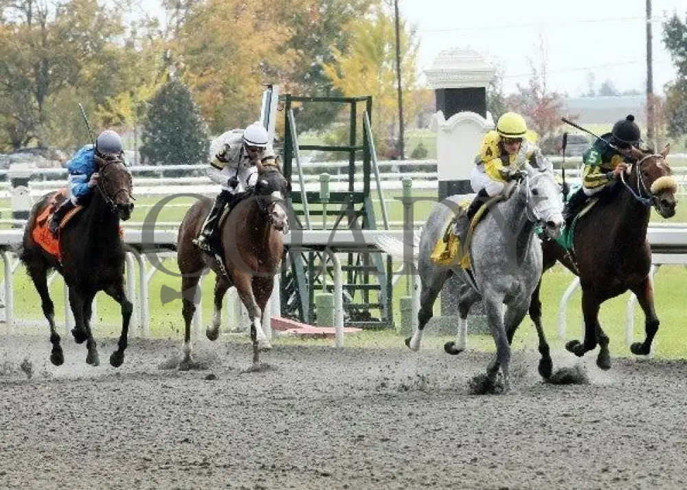 Bizzee Mizzee - 1 102111 Race 02 Keeneland