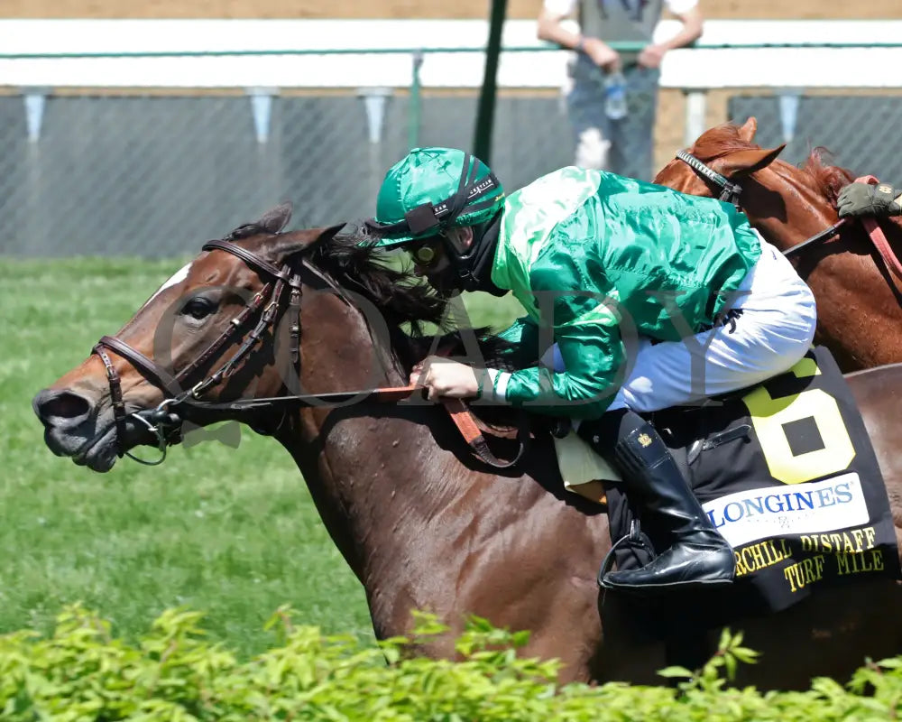 Blowout - The Longines Churchill Distaff Turf Mile G2 36Th Running 05-01-21 R06 Cd Inside Finish 01