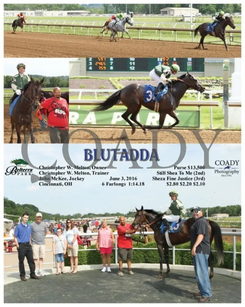 Blutadda - 060316 Race 04 Btp Belterra Park