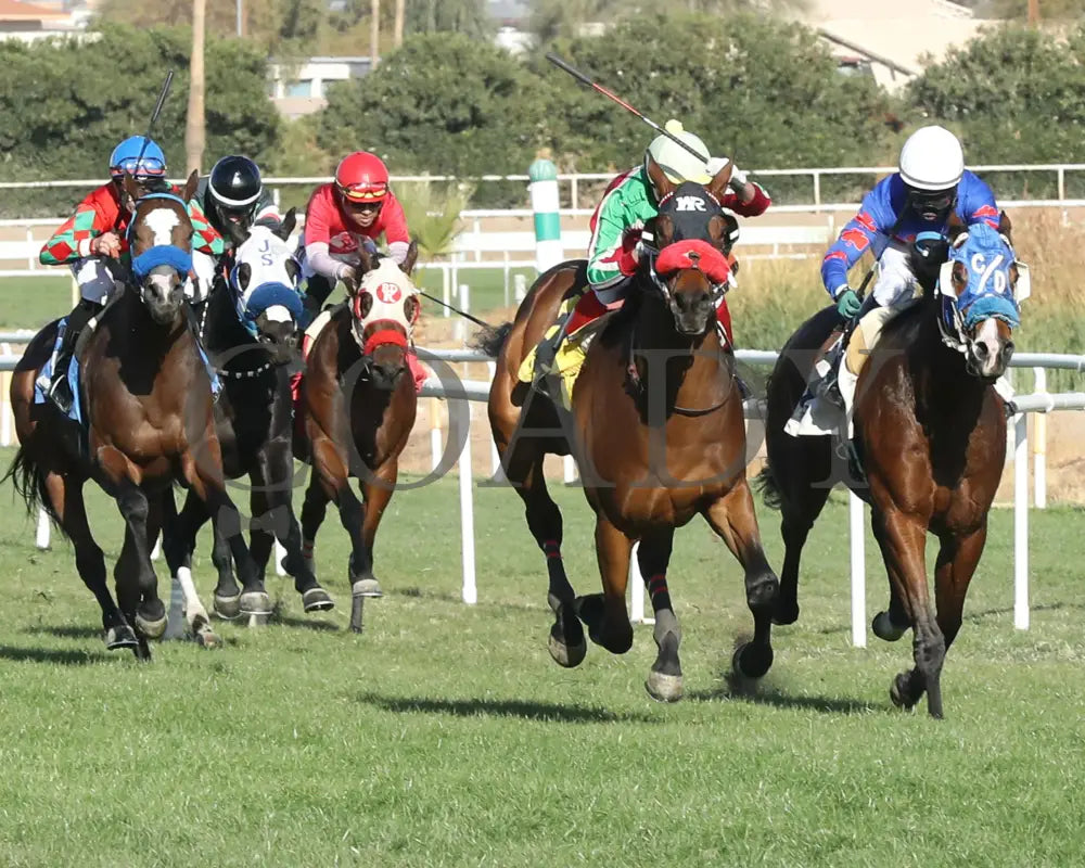 BODI ZAFA - Luke Kruytbosch Overnight Handicap - 02-19-25 - R07 - Turf Paradise - Stretch Turf Paradise