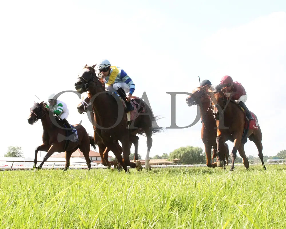 BONNIE ARCH - 070818 - Race 08 - ELP - Under Rail 01 - Coady Media - Kurtis Coady Photography