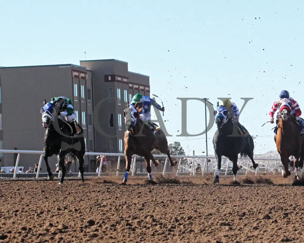 Boot Scootin Mama - The 52Nd Running Of Shue Fly G2 02-02-25 R06 Sunland Park Under Rail Turfway