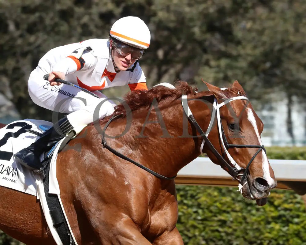 BOOTH - Commodore Overnight Stakes - 1st Running - 02-24-25 - R04 - OP - Tight Finish 01 Oaklawn Park