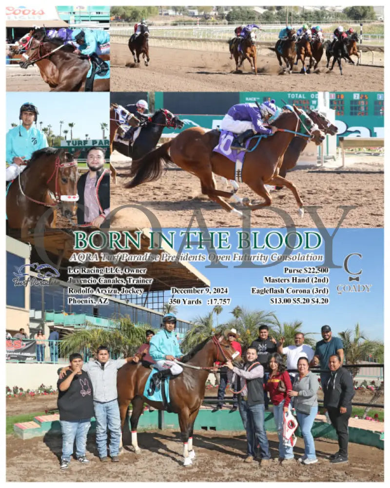 Born In The Blood - Aqra Turf Paradise Presidents Open Futurity Consolation 12-09-24 R01 Tup