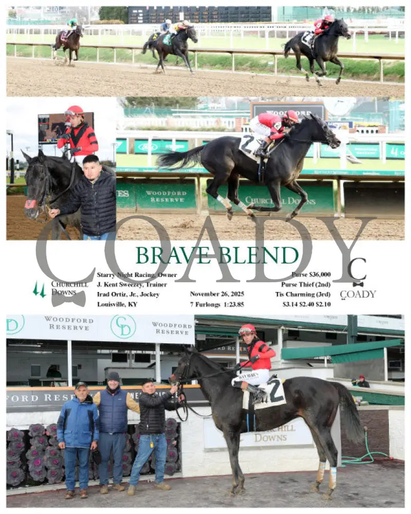 BRAVE BLEND - 11-26-25 - R04 - CD - Coady Media - Kurtis Coady Photography