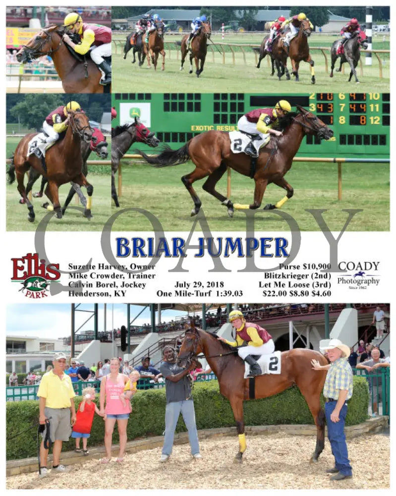 Briar Jumper - 072918 Race 04 Elp Ellis Park