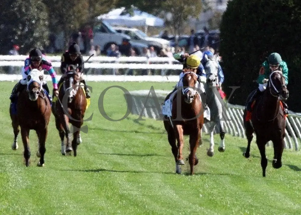 Bridgetown - 100612 Race 05 Head On Keeneland