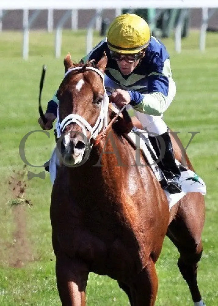 Bridgetown - 100612 Race 05 Inside 1 Keeneland